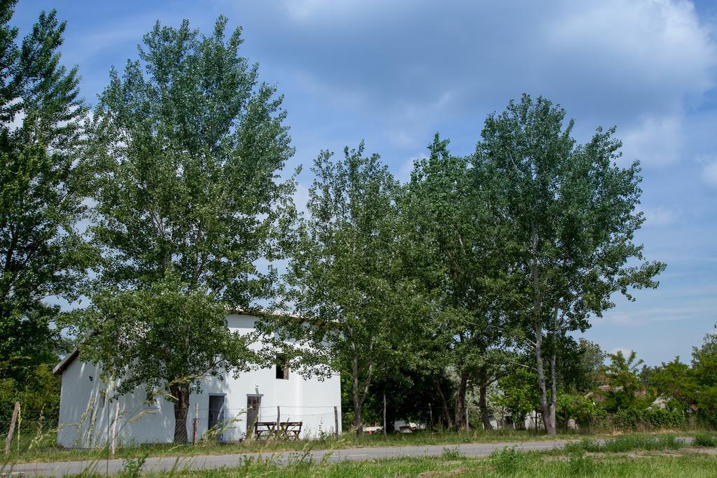 Casa Bella & Nova Hotel Palic Bagian luar foto